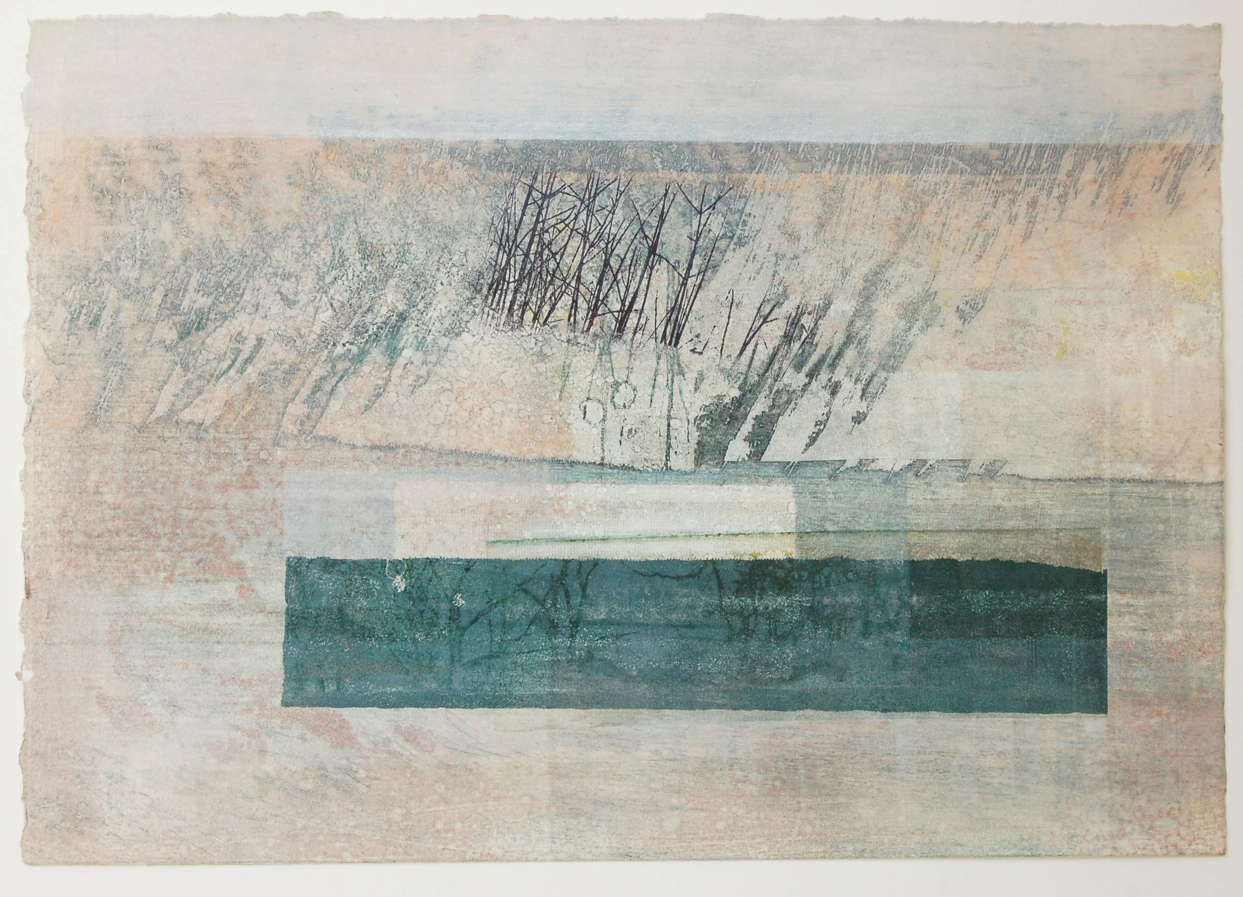 Hide No. 3 Solar etching, mono print 7 mixed media on paper 38 x 28 cm 