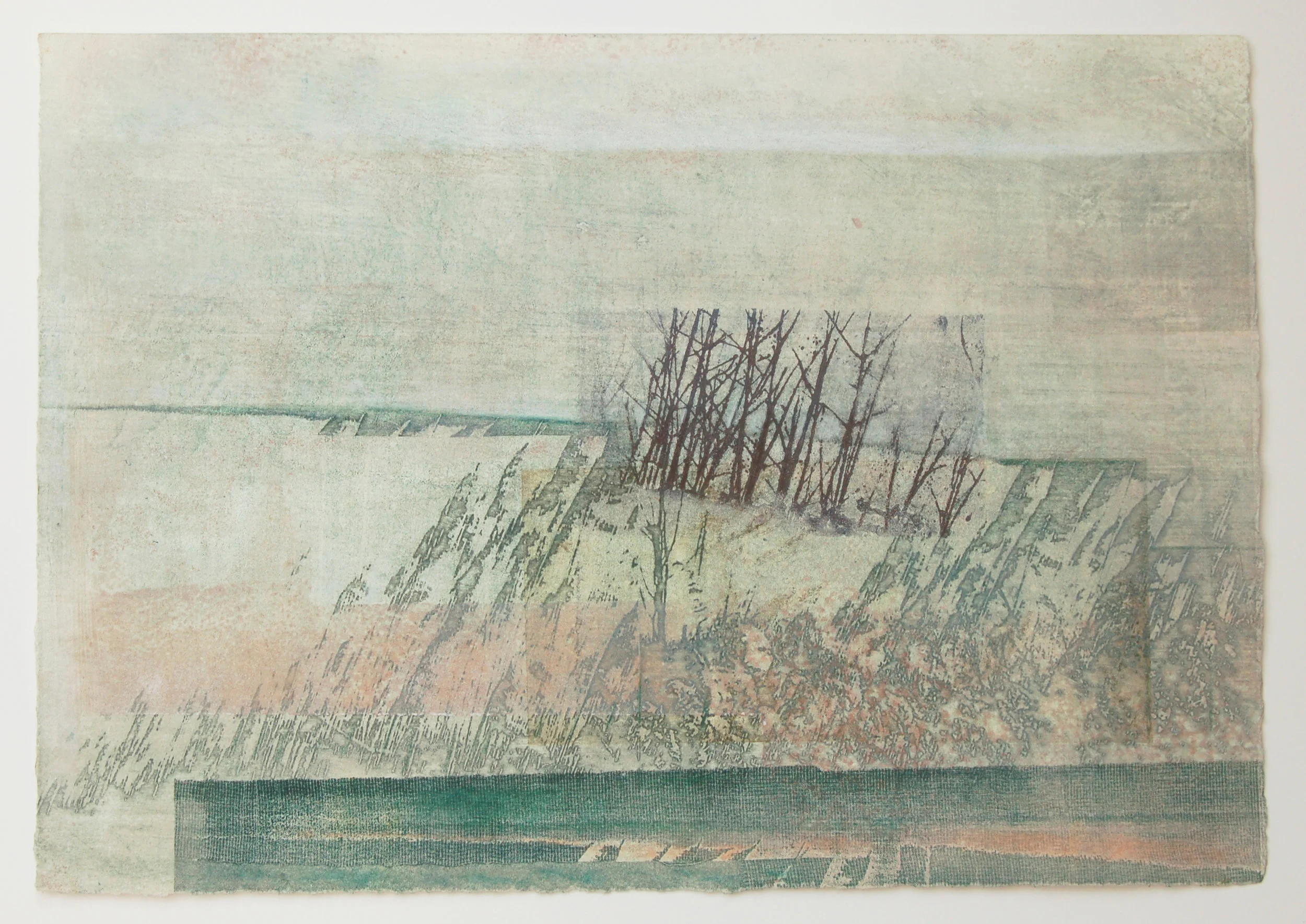Hide No. 2 Solar etching, mono print & mixed media on paper 38 x 28 cm 