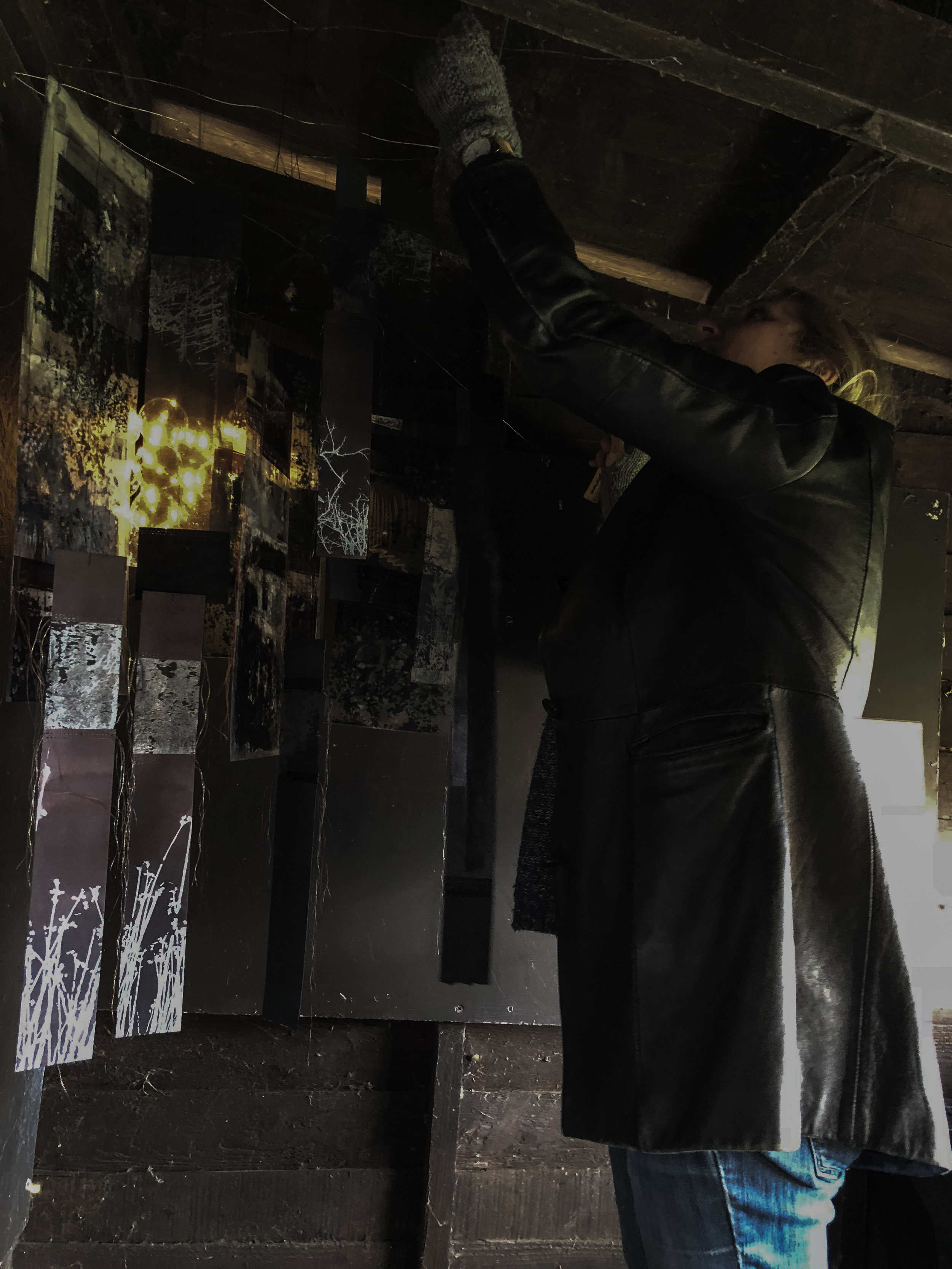 Sally installing work in Charlies Hide