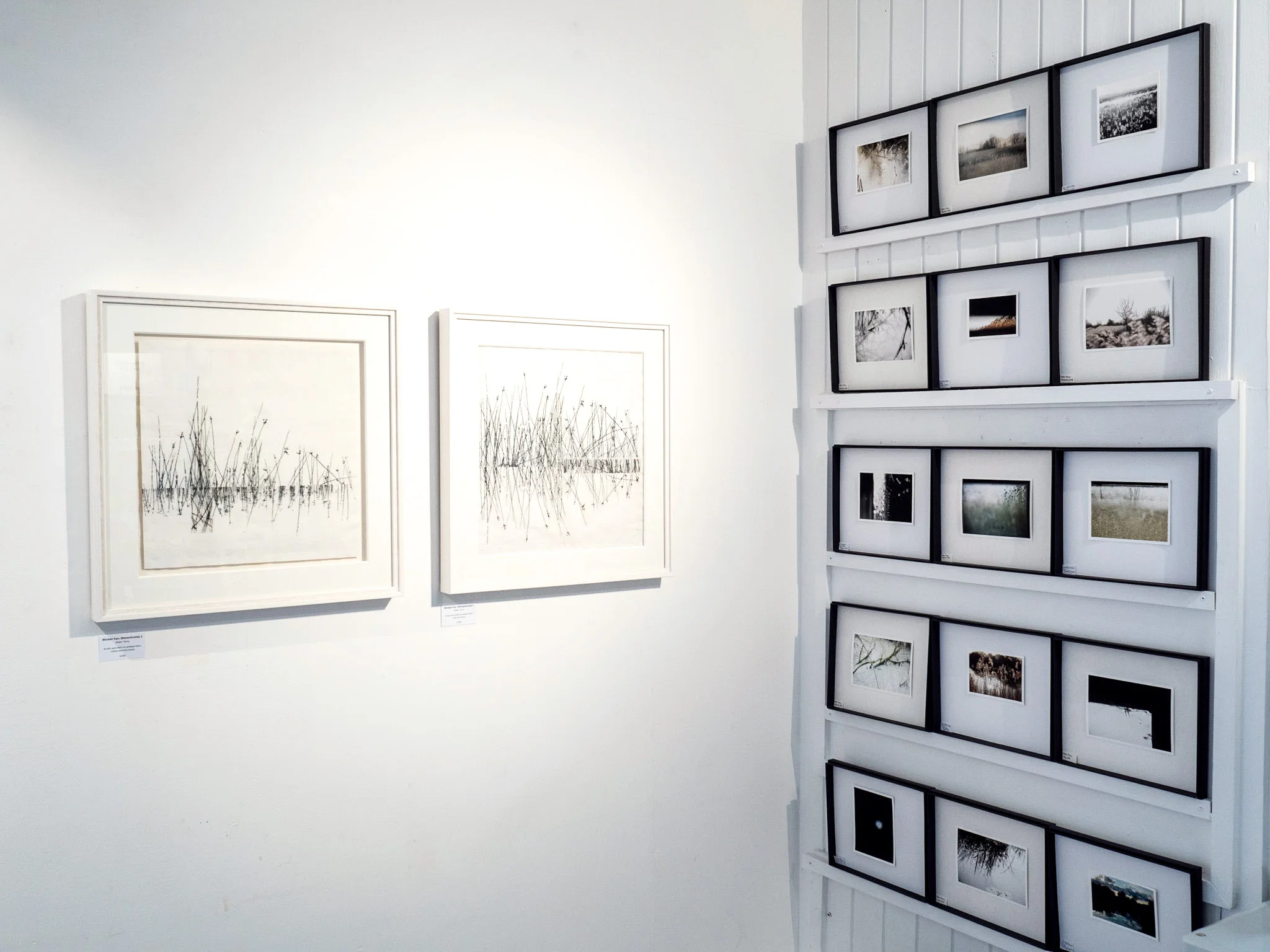 Working on this project has been a joy and we are both very pleased with what we have accomplished, both at the reserve (the Installations and trail) and the work on show at the gallery. We are currently planning and researching new project opportunities and locations. 