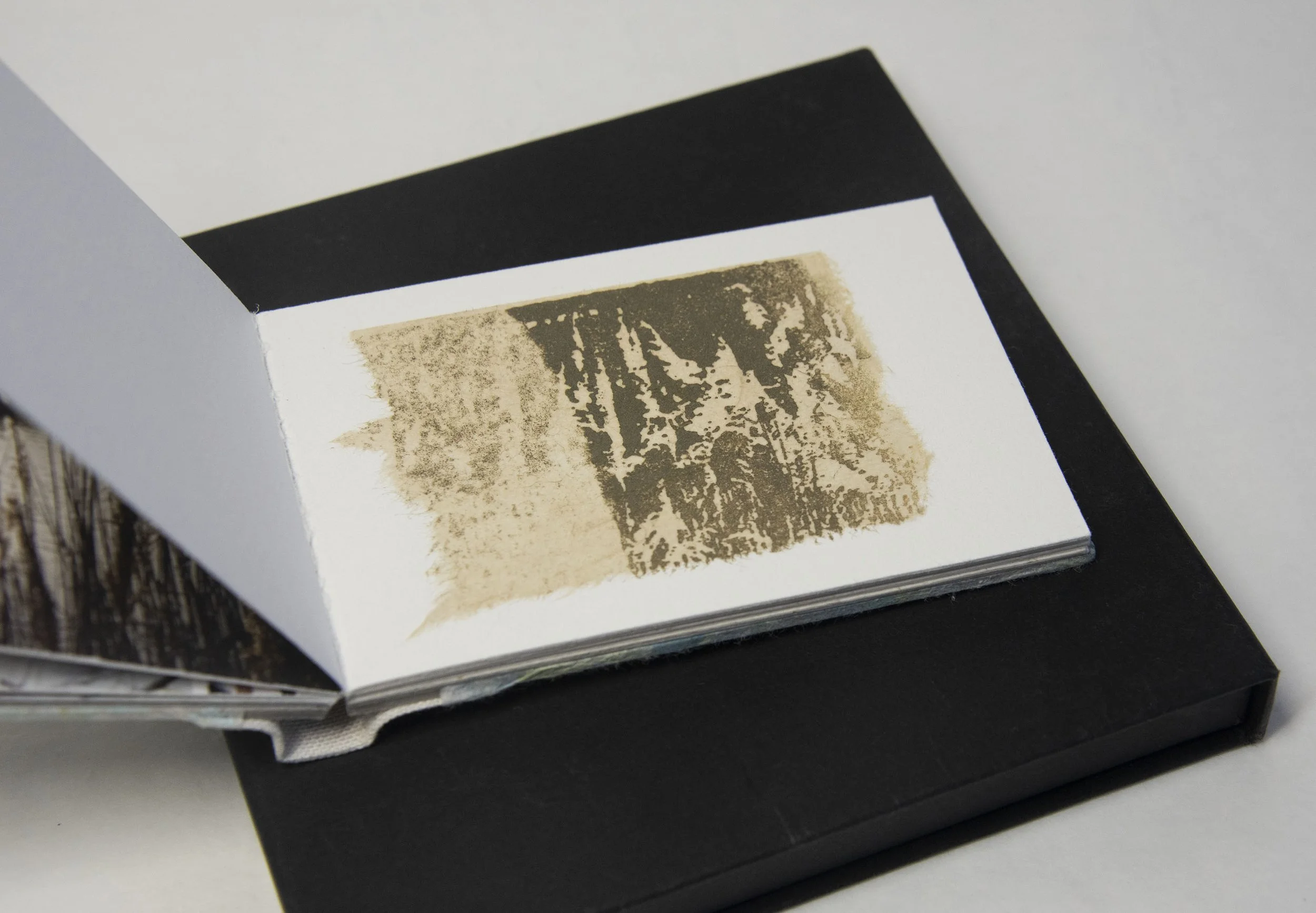 Of Other Space Fen Mixed Media Book Sally Tyrie Fine Artist Of other space fen mixed media book sally tyrie fine artist
