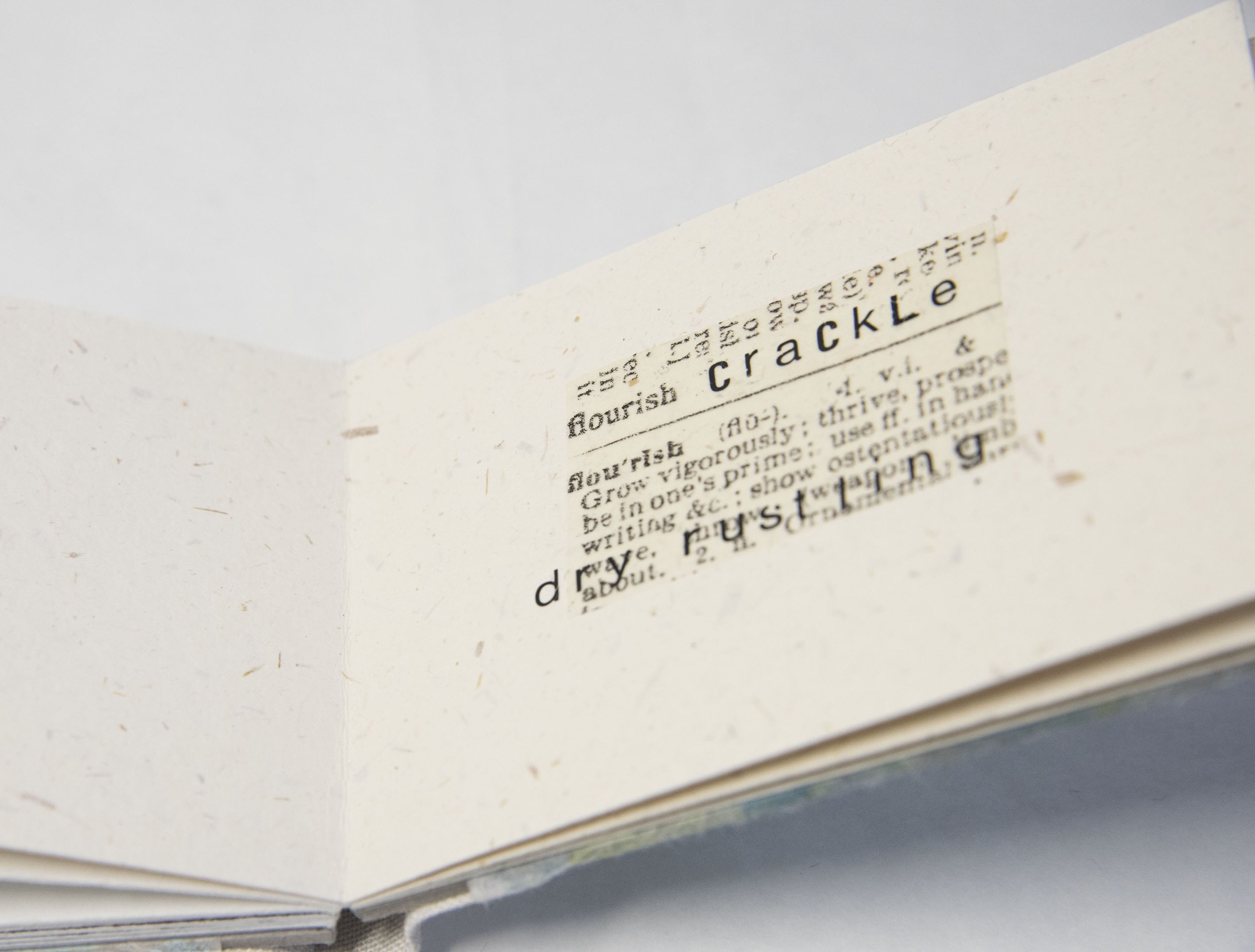 Of Other Space Fen Mixed Media Book Sally Tyrie Fine Artist Of other space fen mixed media book sally tyrie fine artist