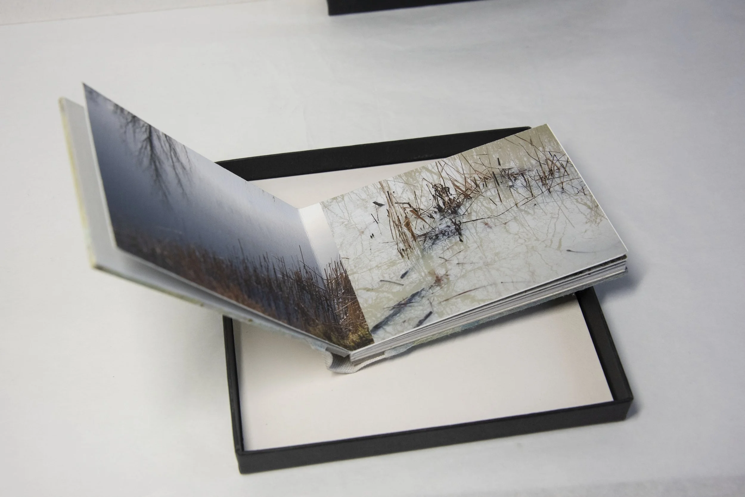 Of Other Space Fen Mixed Media Book Sally Tyrie Fine Artist Of other space fen mixed media book sally tyrie fine artist