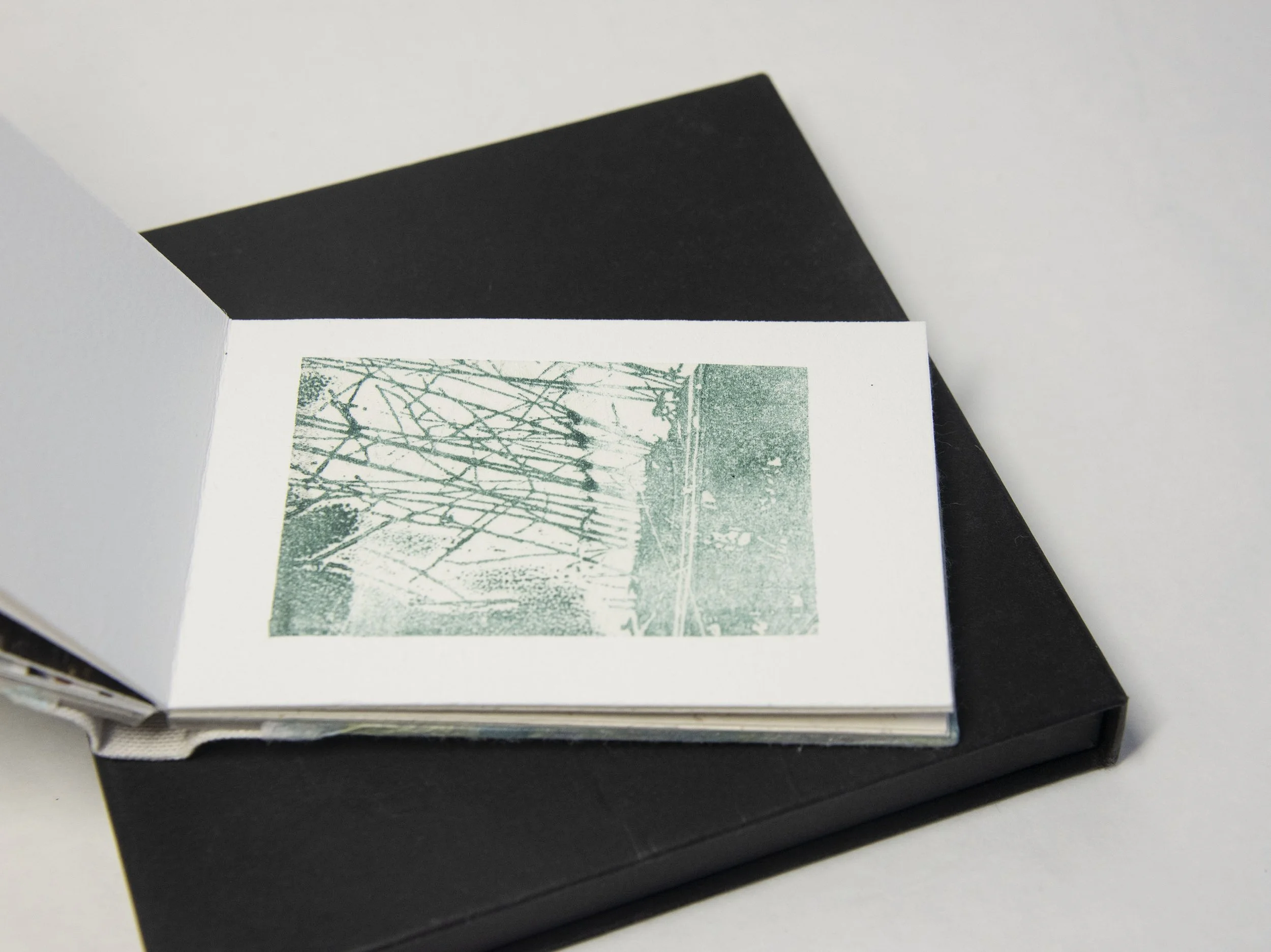 Of Other Space Fen Mixed Media Book Sally Tyrie Fine Artist Of other space fen mixed media book sally tyrie fine artist