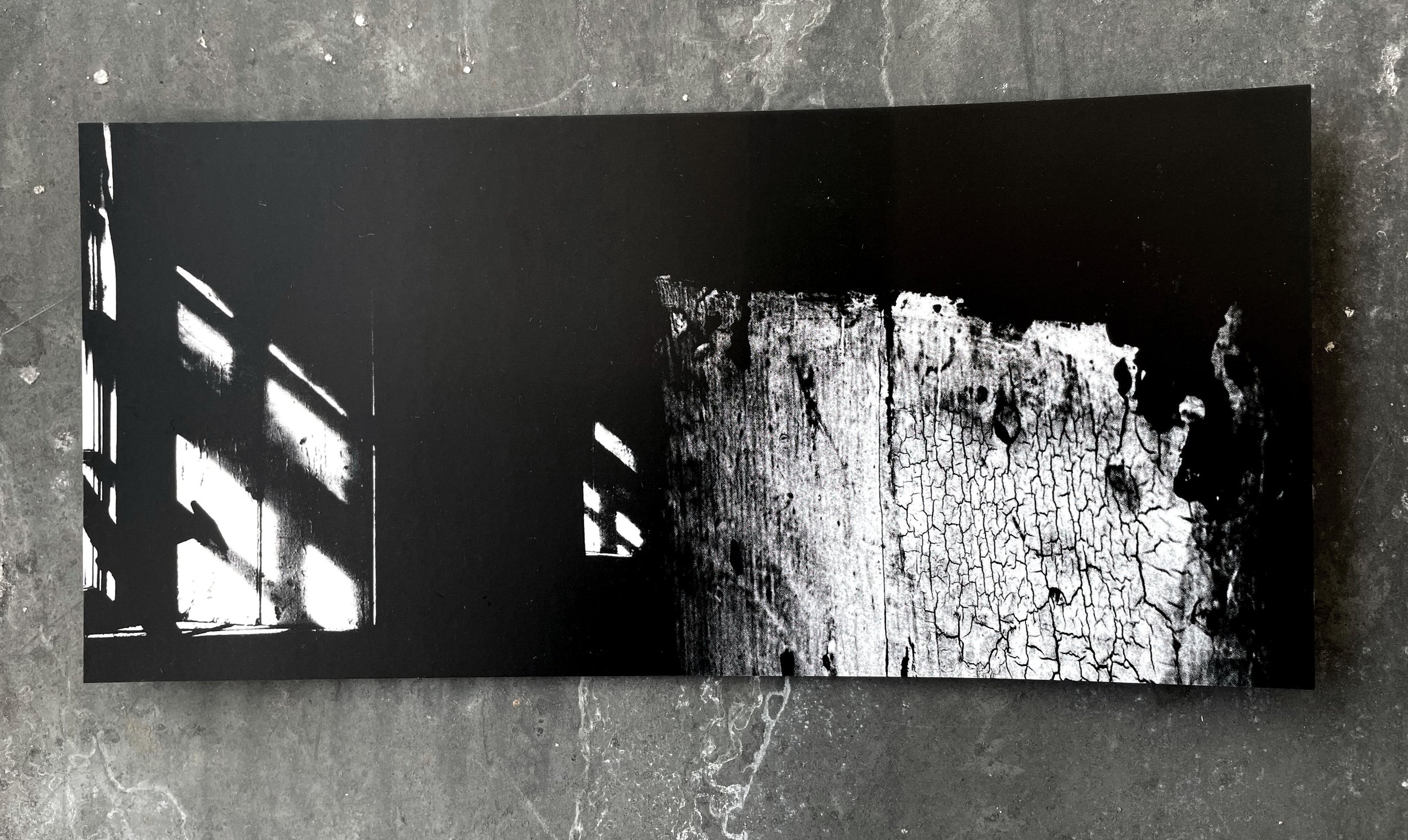 DL postcard 3.jpg