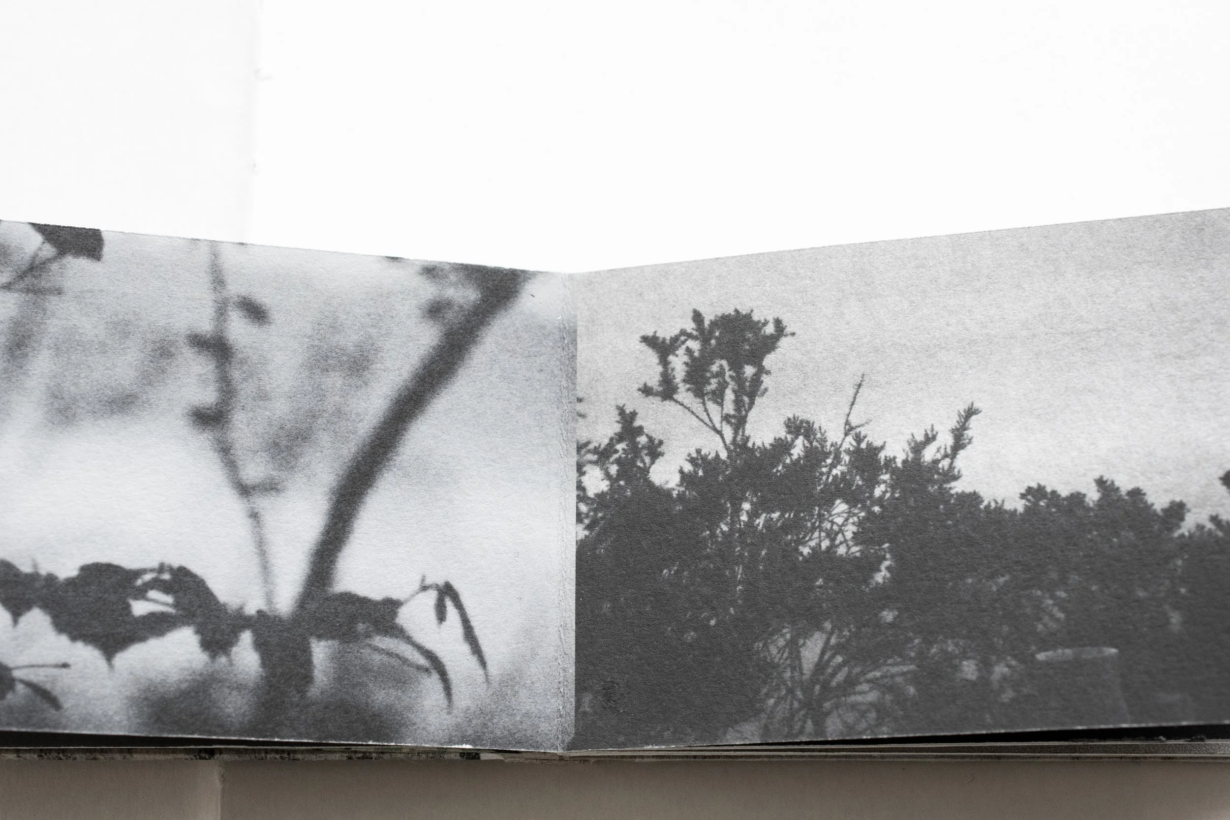 book work of mist detail.jpg