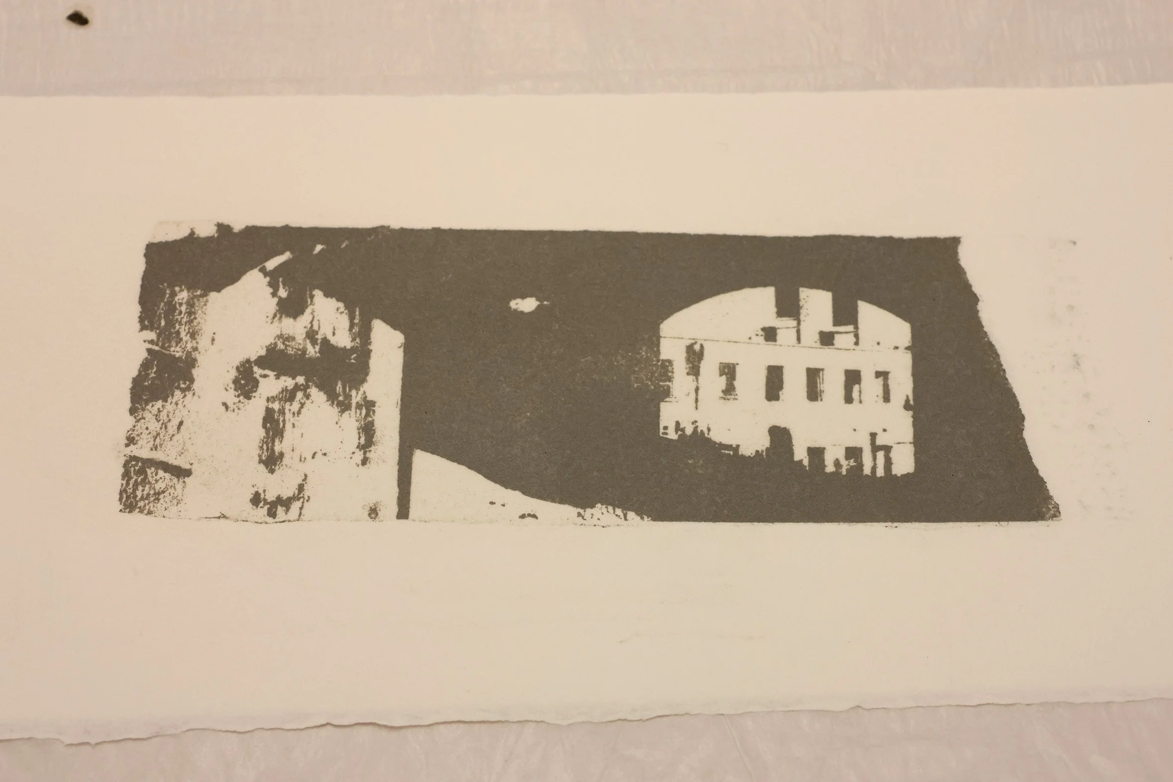 print photo litho wip.jpg