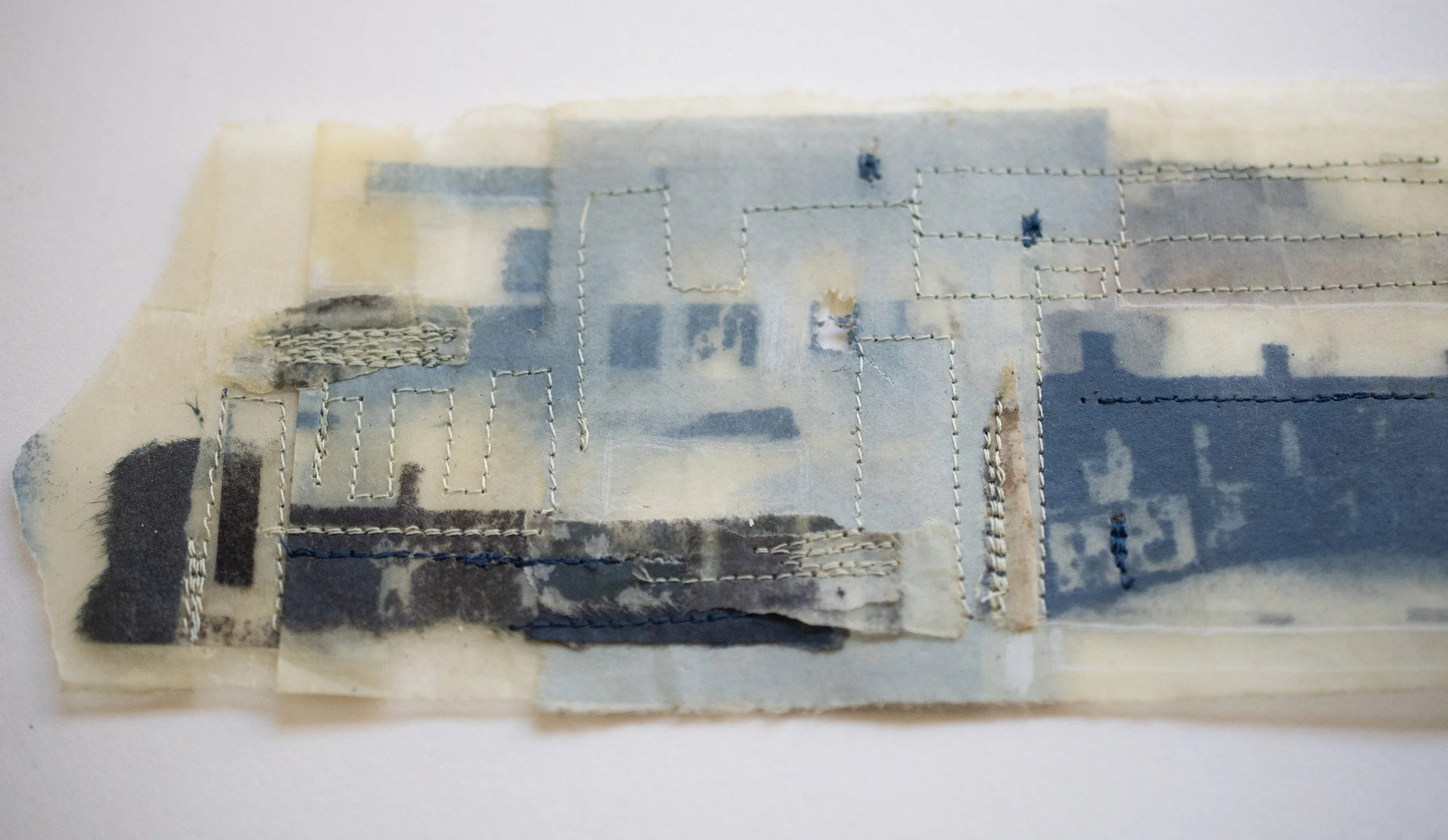 tissue assemblage ii with oil and stitch.jpg