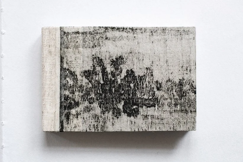 Immersed front cover of book work.jpg