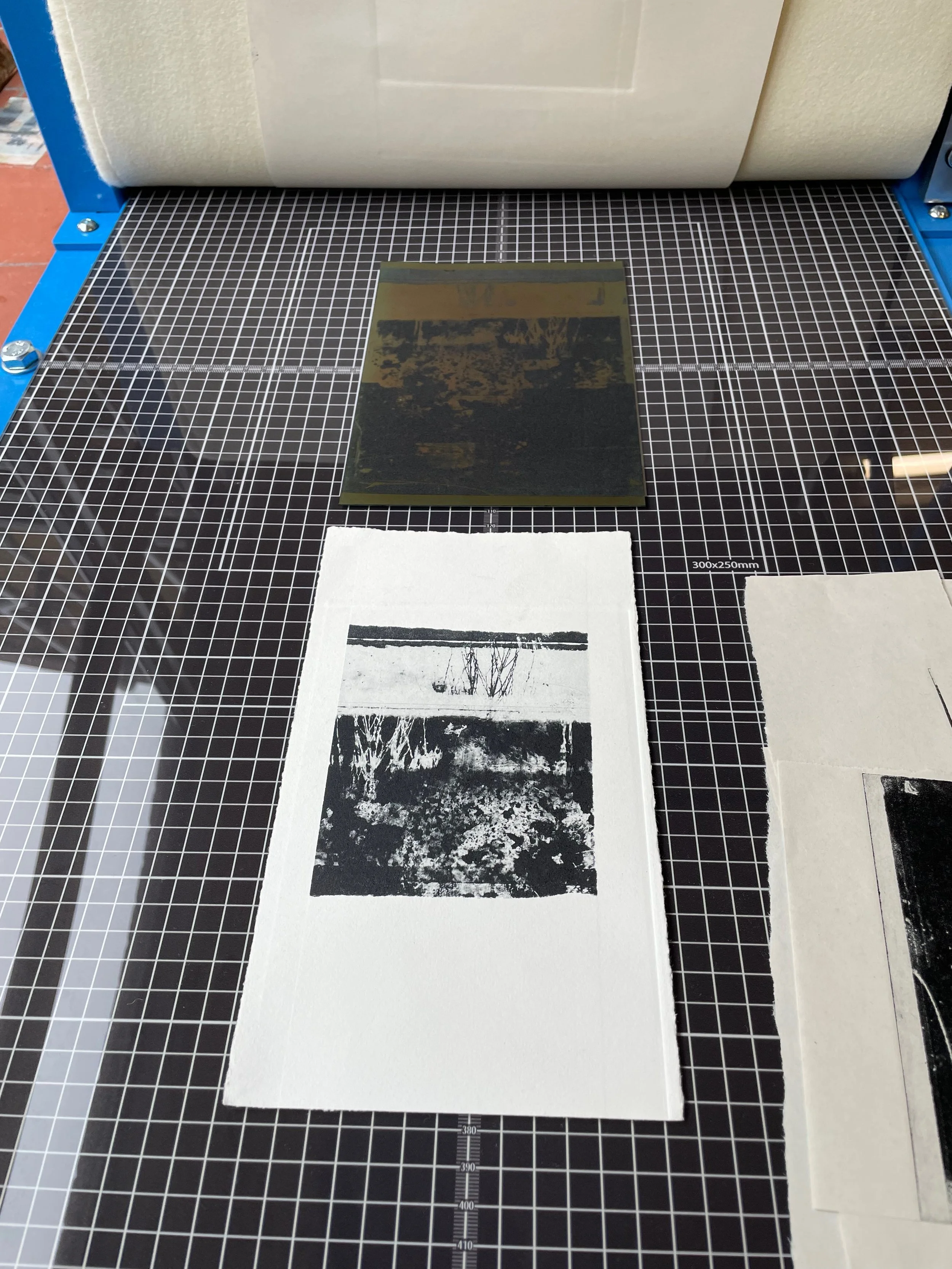 IMG_0321.jpeg