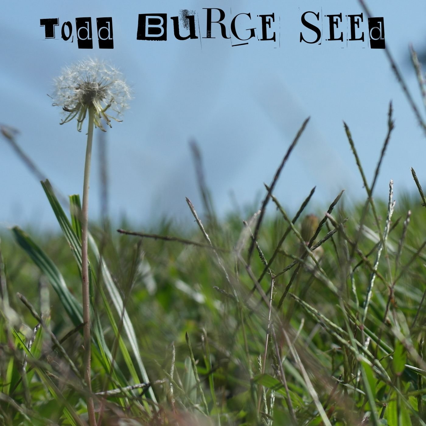 Seed by Todd Burge Album Cover