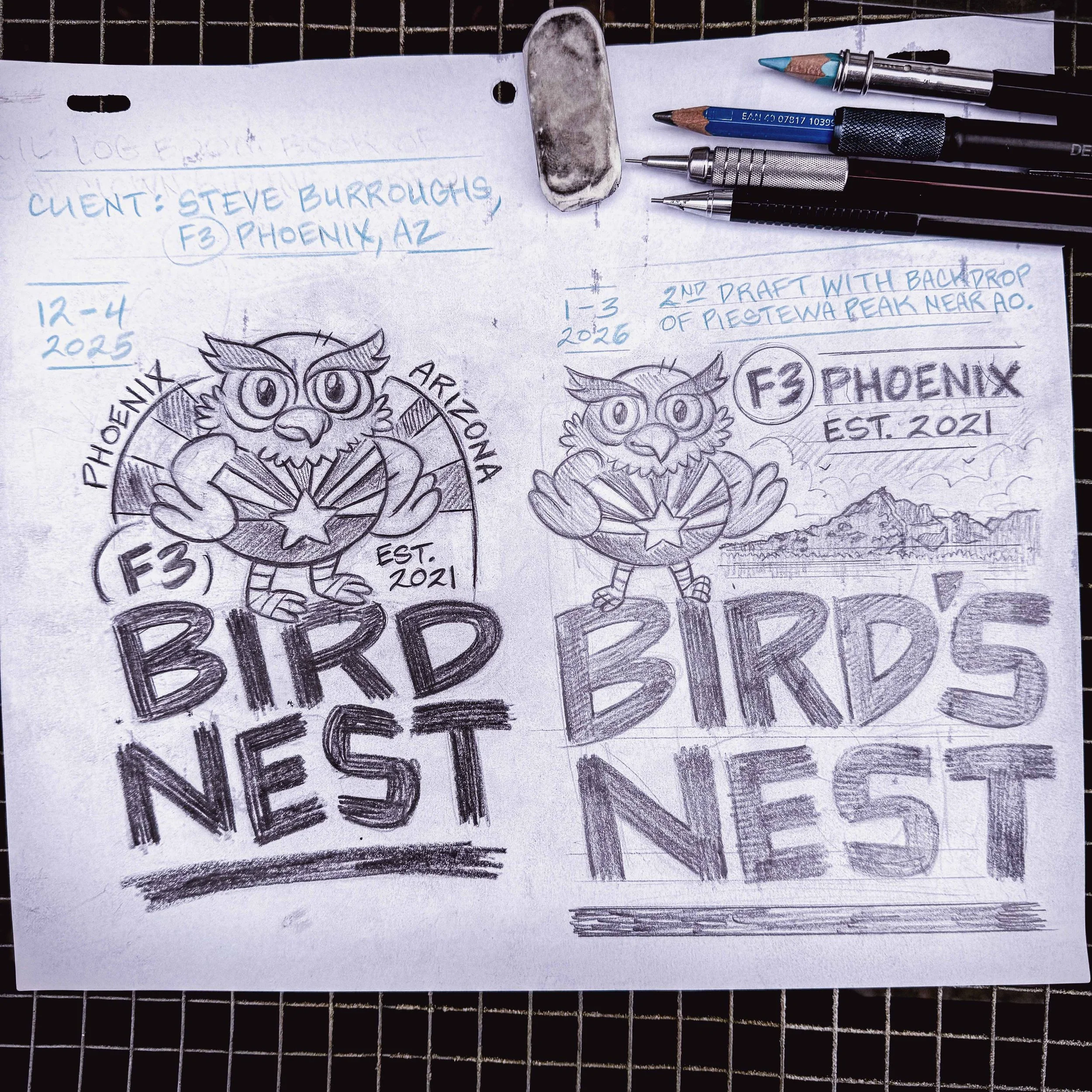 Birds Nest Sketch.jpg