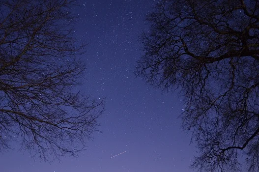 Shooting Star on a Starry Night, by the author I love to take pictures of the sky at night--the stars spark my imagination, while reminding me of how small we really are.