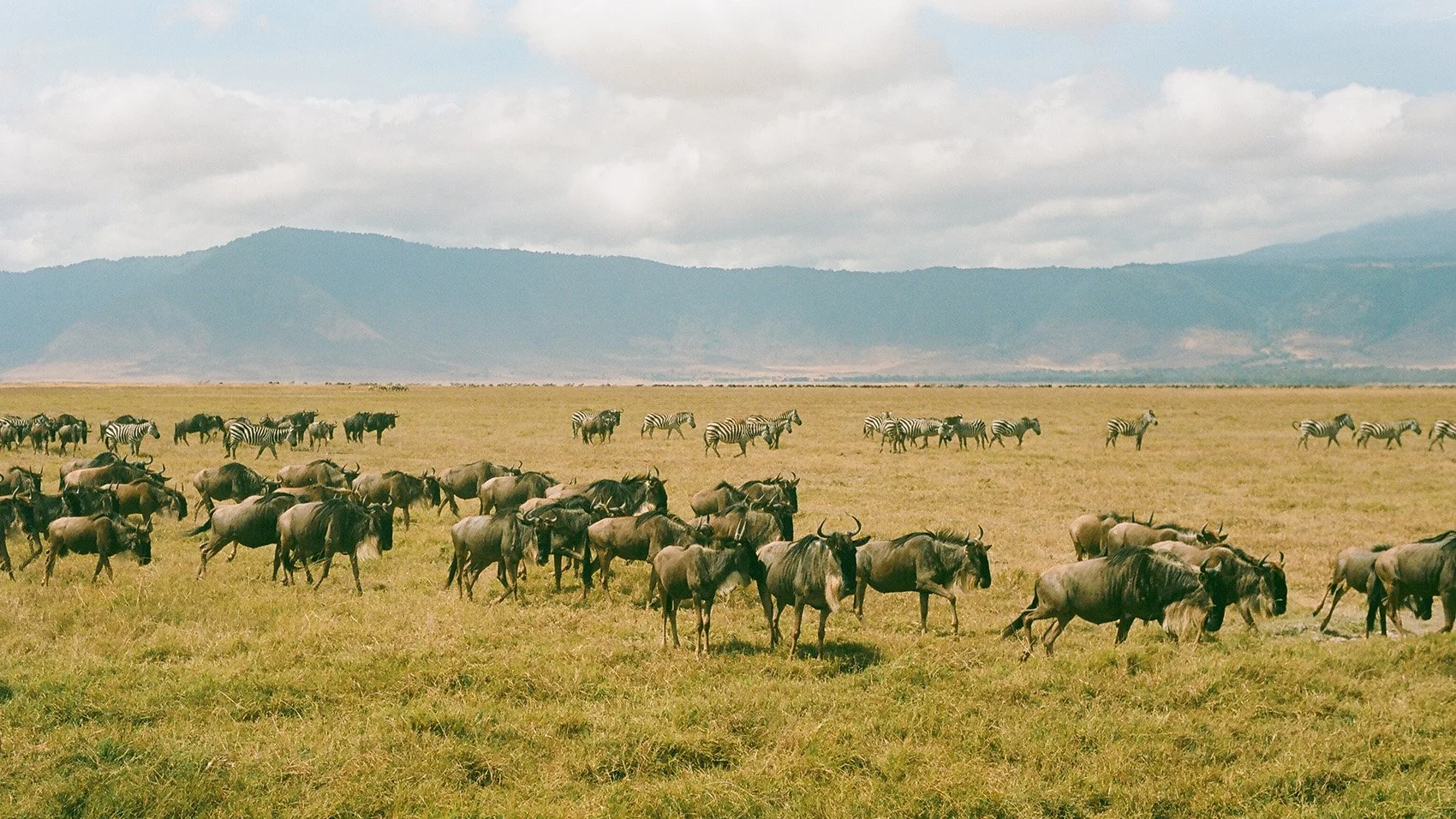 Africa-Tanzania_025.jpg