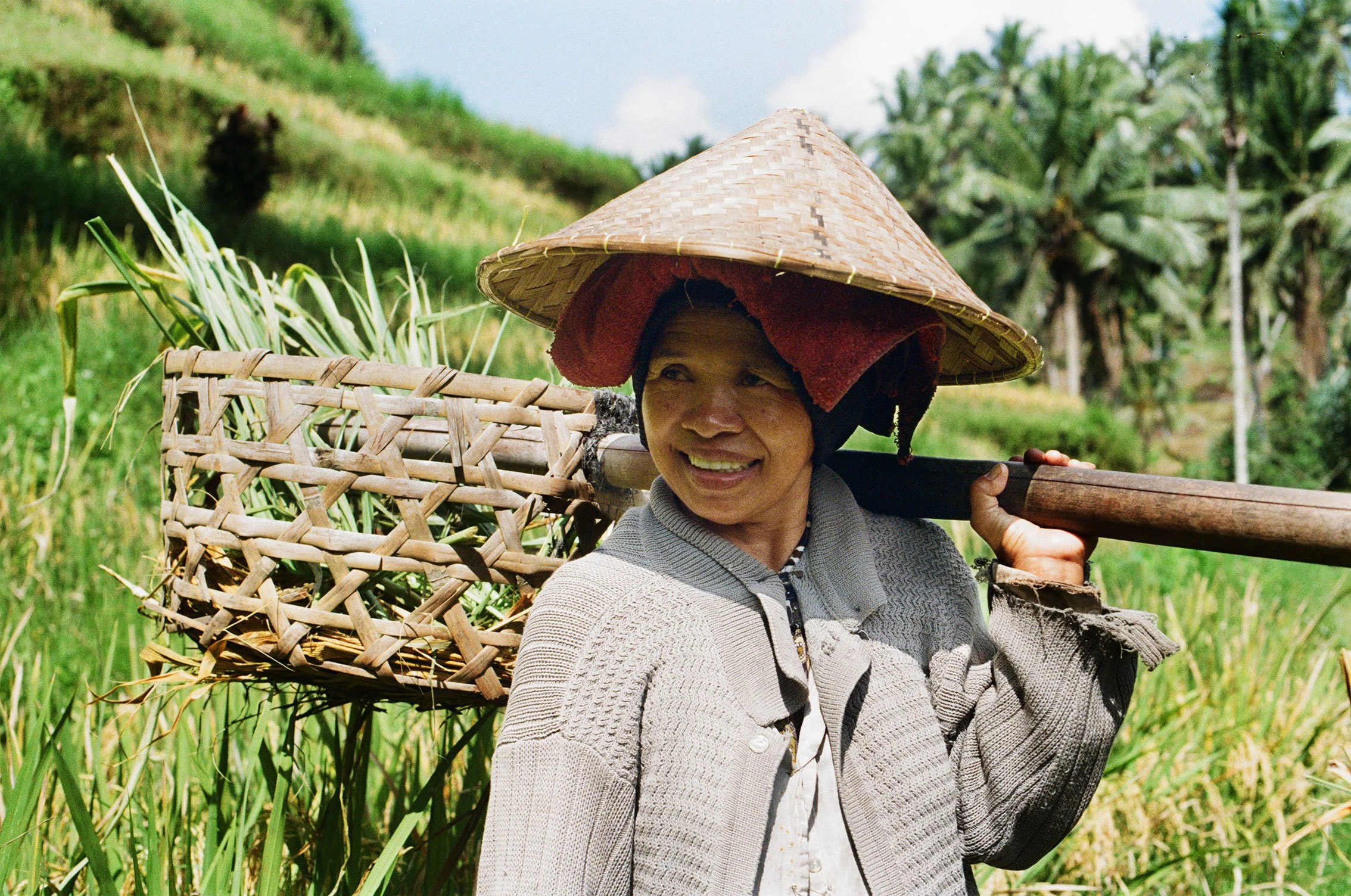  Rice Farmer | Bali, Ubud, 2026 