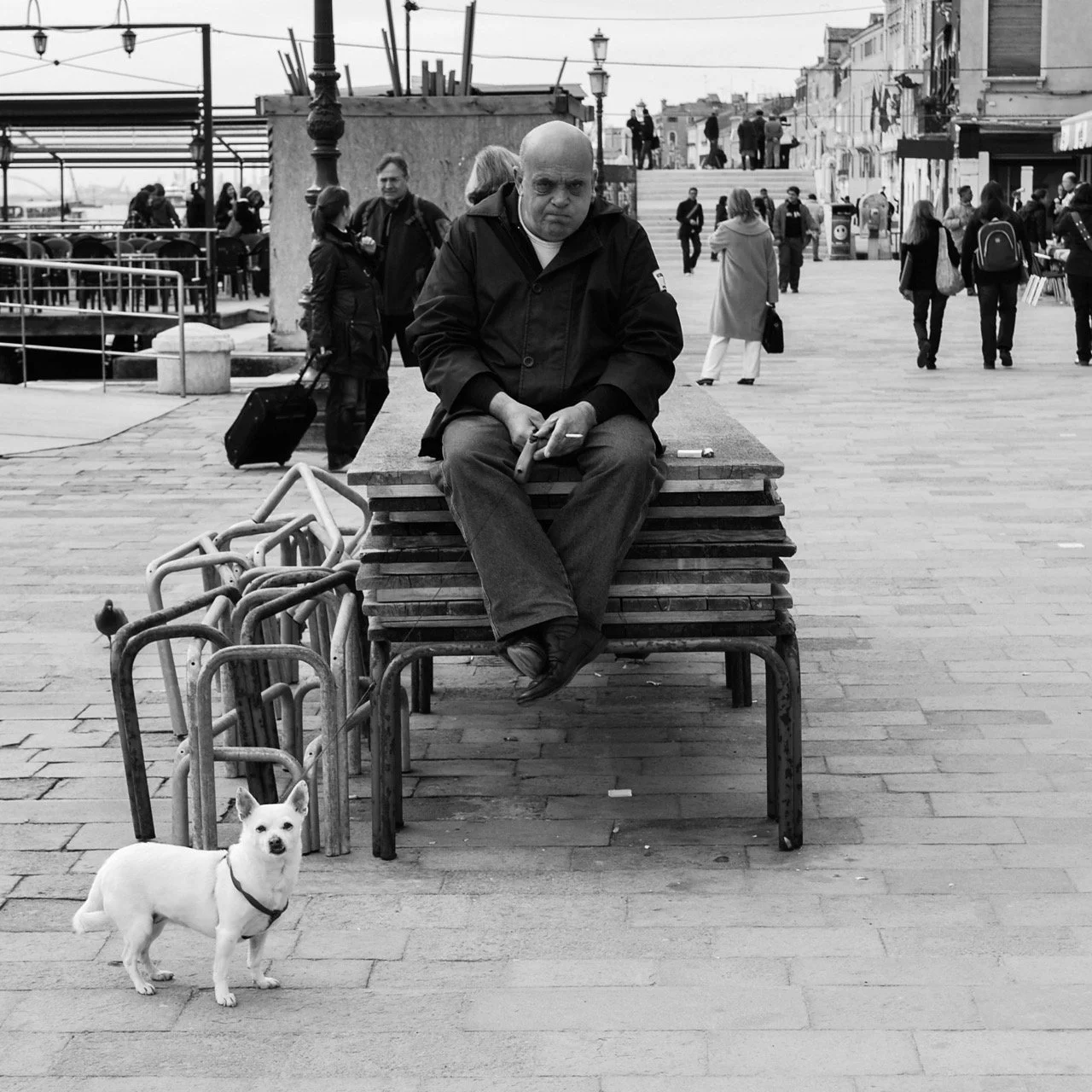 Venice - Paul Bryan Photography.jpeg