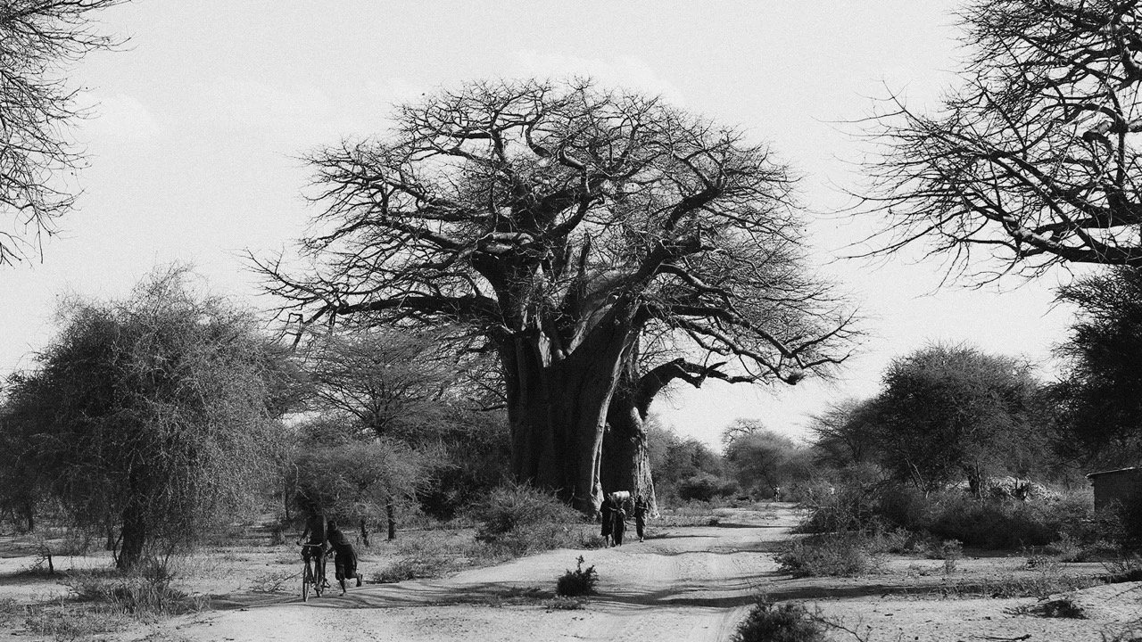 Africa-Tanzania_002-2 - Paul Bryan Photography Large.jpeg