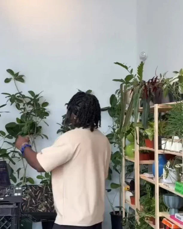 Kinfolks Vol 1 &amp; Vol 2 online now!
Check the link in my bio.
Shout out to: @greenducks.ps | @nutmegliver | @_seedtimeharvest_ for letting me bless their establishment and be the first in the series! 

Can I show my love for you? 🔊

#djmix #blend