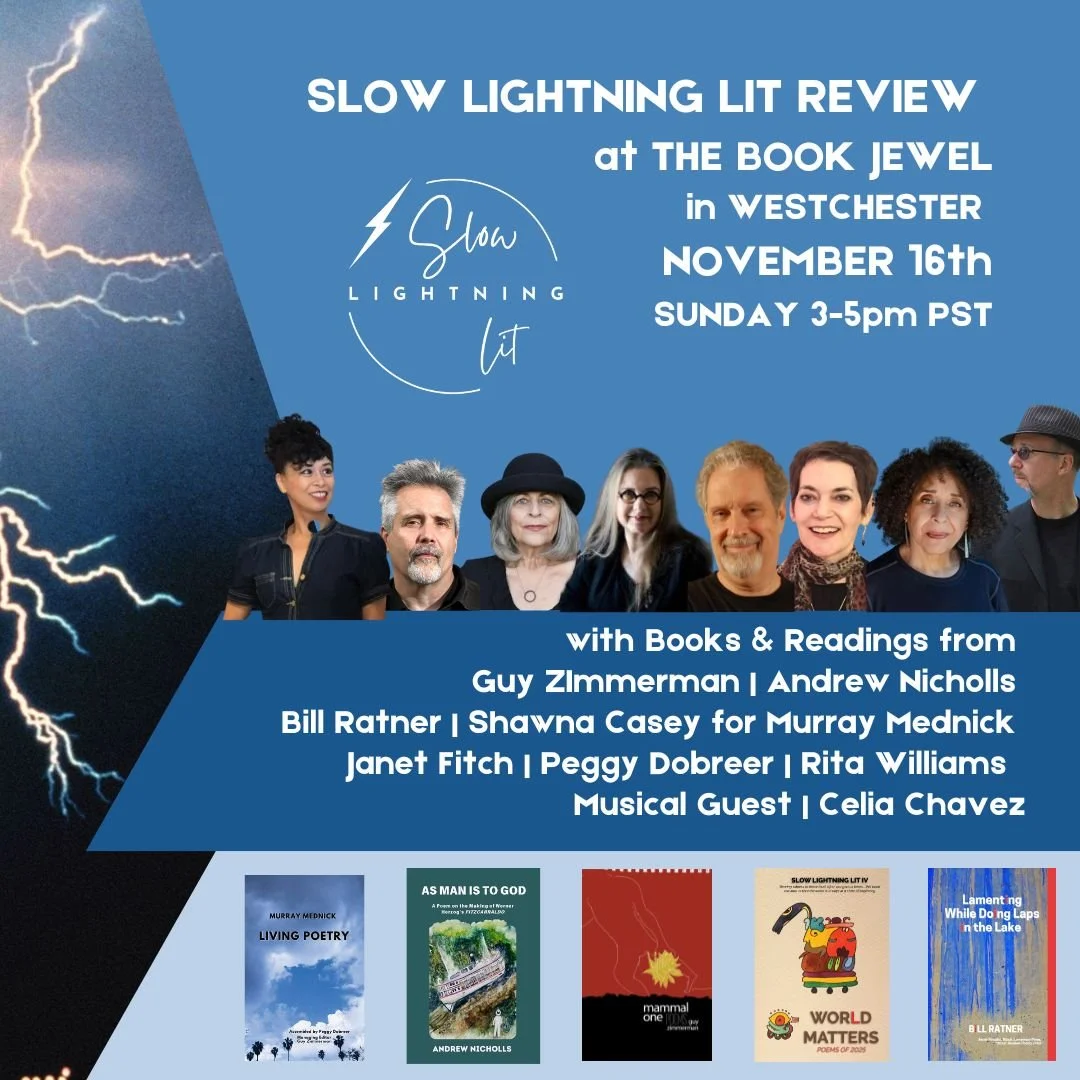 Slow Lightning Lit Review: Poetry and Book reading