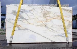 85205106-2F9A-4A3A-96AE-559E52EF208E_1_201_a (1).png