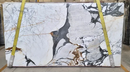 89F5633A-6C48-468C-A444-CFD16D5A09A7 (1).png