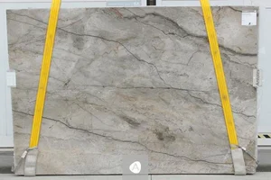 Silver+roots (1).png