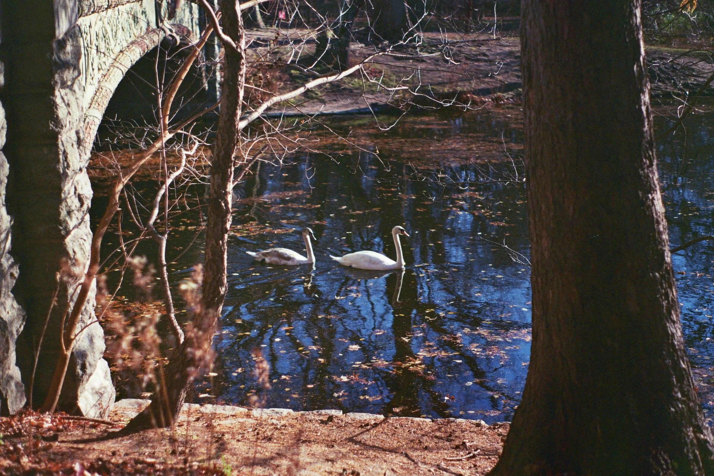 15A_00013.jpg