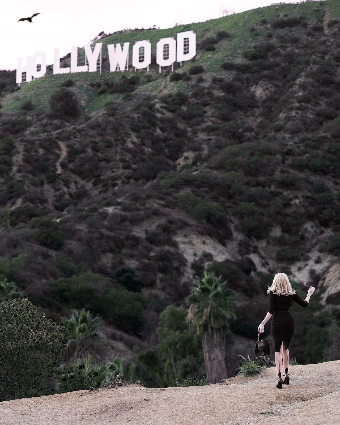 take me to the hollywood dream factory🦇 ⁣⁣
⁣
shot by @dinersiren⁣⁣
⁣⁣
⁣⁣
⁣⁣
⁣⁣
⁣⁣
⁣⁣
#hollywood #dreamers #hitchcock #thebirds #hollywoodsign #hitchcockblonde #bats #tippihedren #femmefatale #hollywoodnightmare
