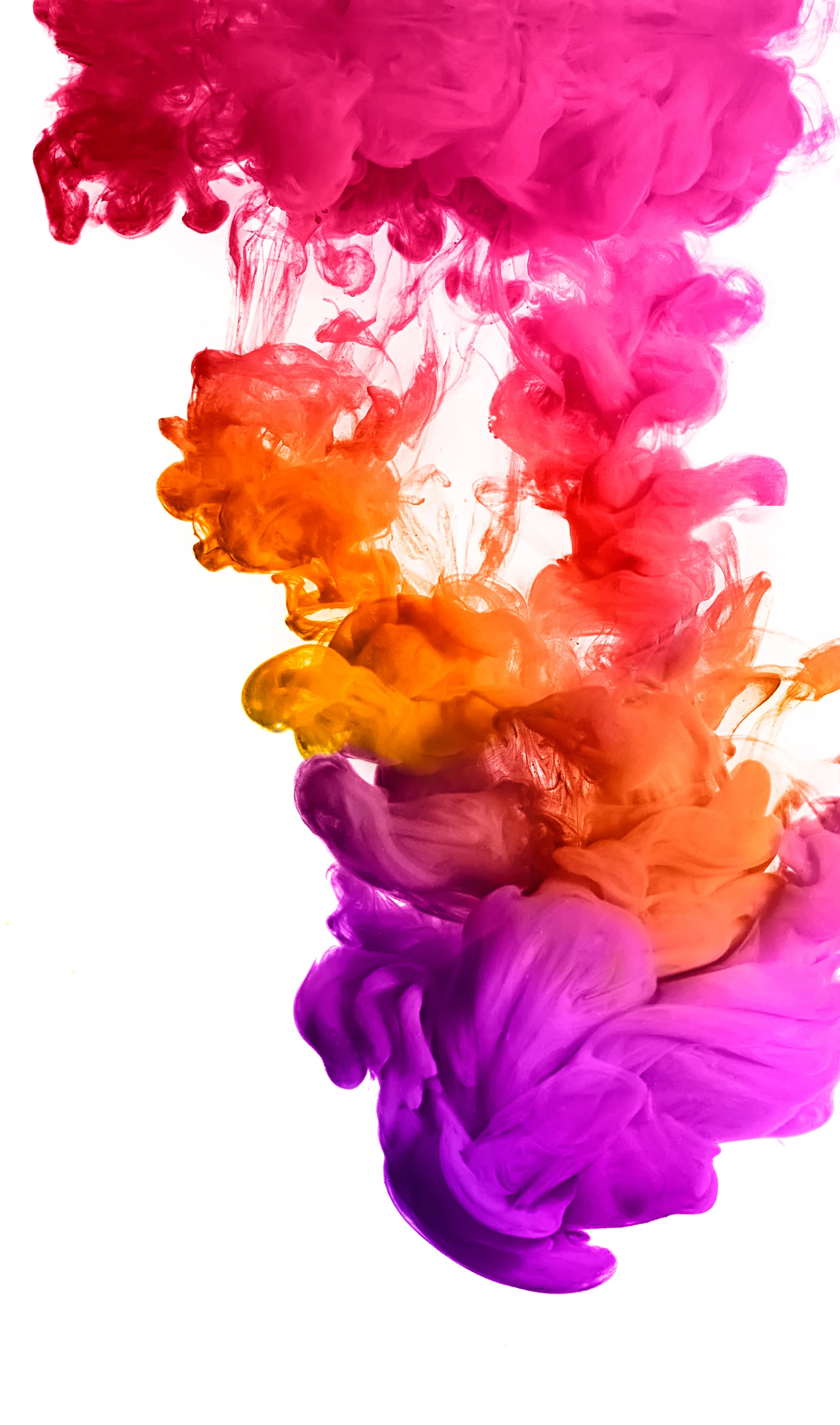 shutterstock_288435356222.jpg