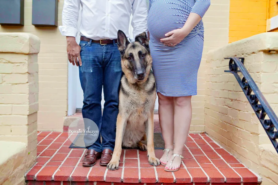 Maternity-session.jpg