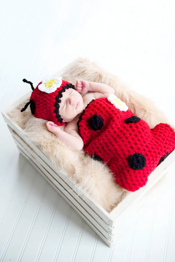 lady-bug.jpg