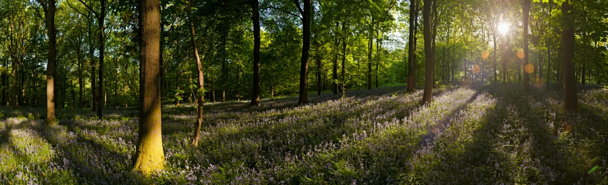 banner-fullsize.jpg