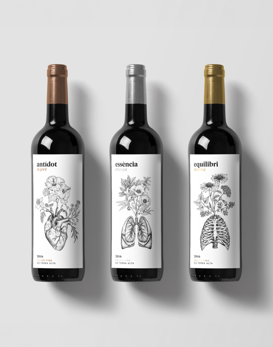 Celler-Vida-Portada.png