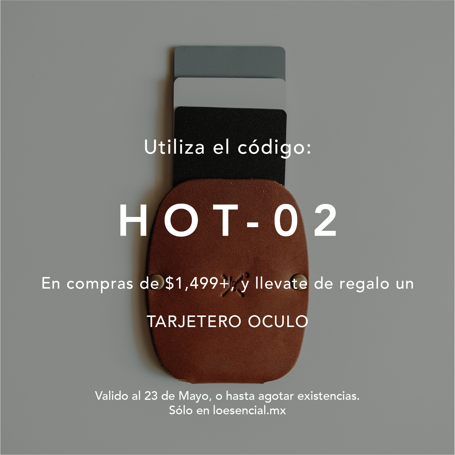 HOT-02.png