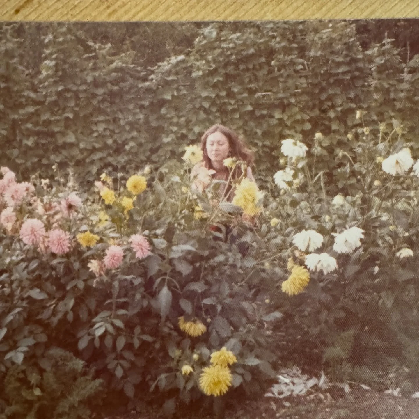 This next chapter is deeply personal.

My dad grew up in flower farms. He is a horticulturalist from Ch&acirc;lons-en-Champagne in the south of France.
My grandma grew up in my great grandparents florist shop. One of my fondest memories is watching h