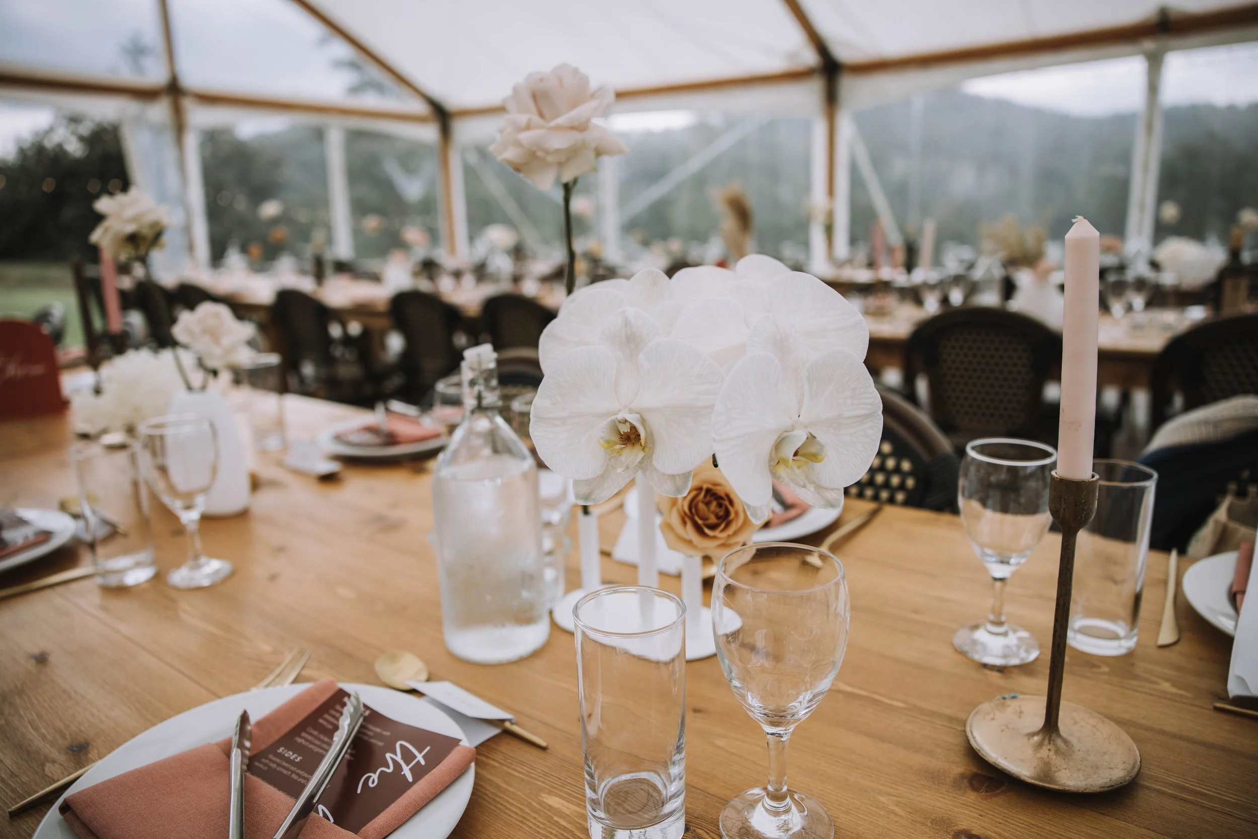 WillS.Weddings_Ryan-Steph_C2_173.jpg