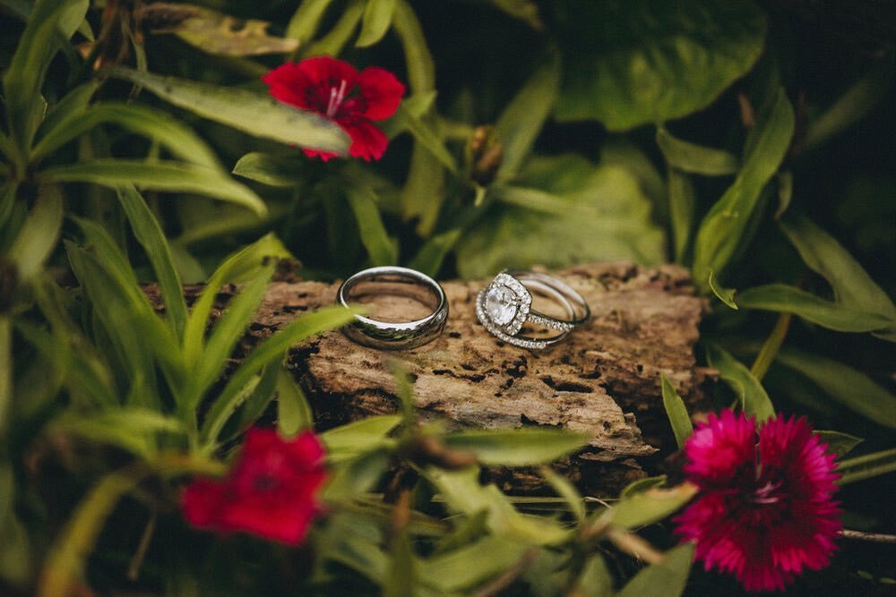 Found a super pretty rock in a bush. 🍃💍