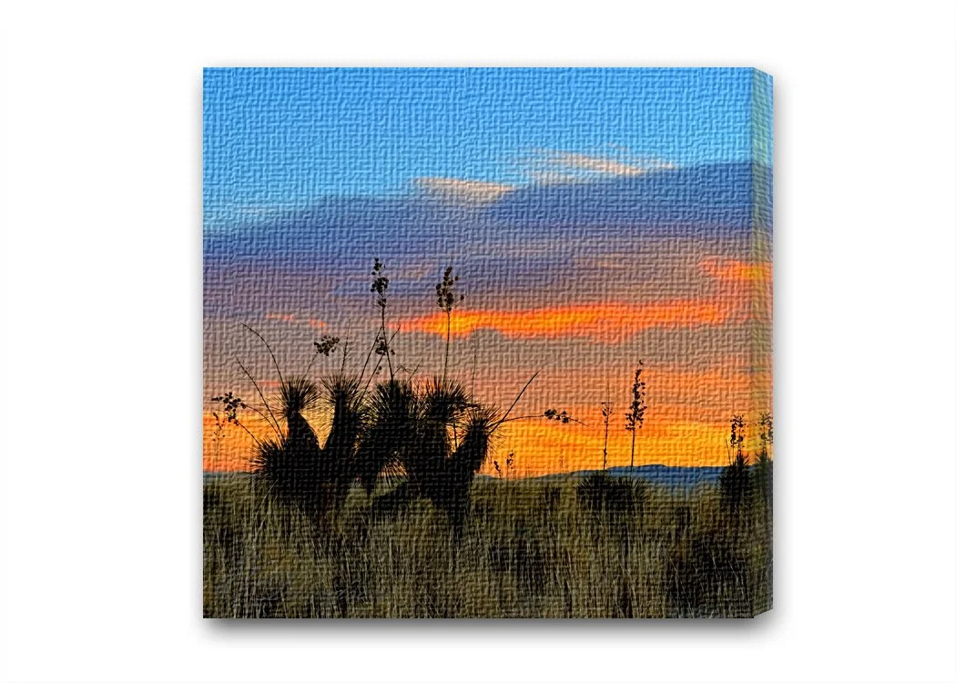 Sunrise.jpg