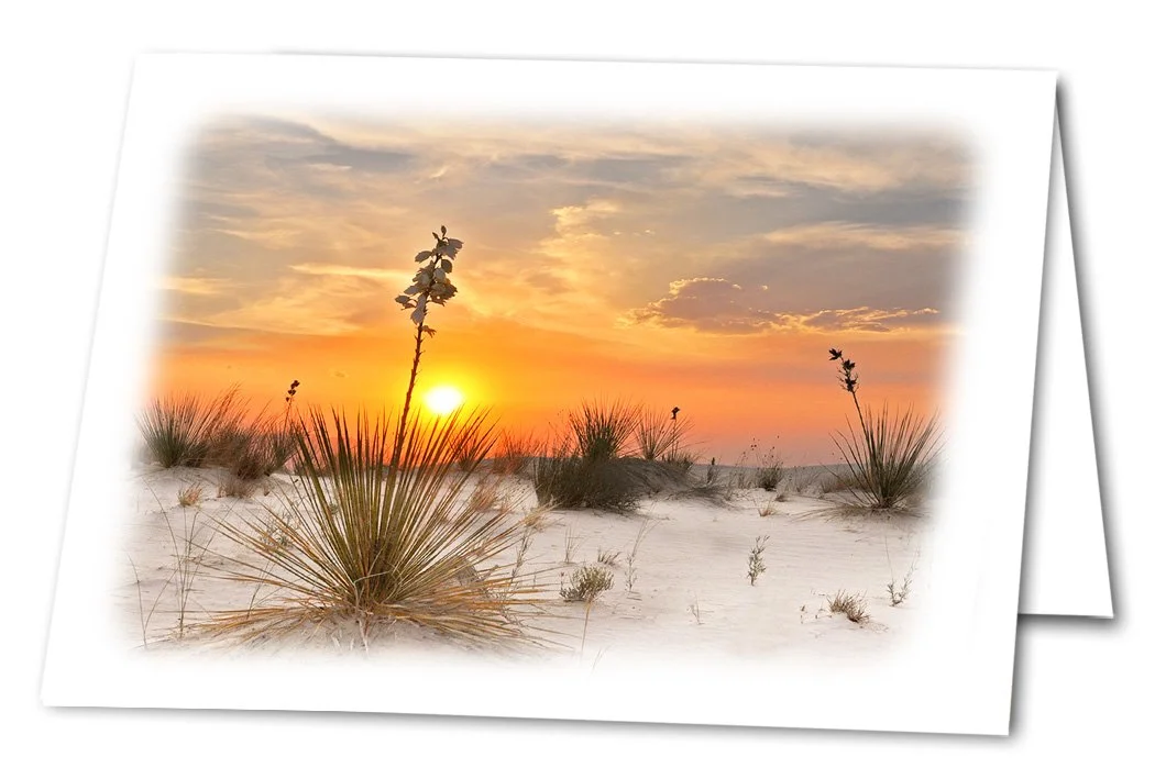 Wh Sands Sunset.jpg
