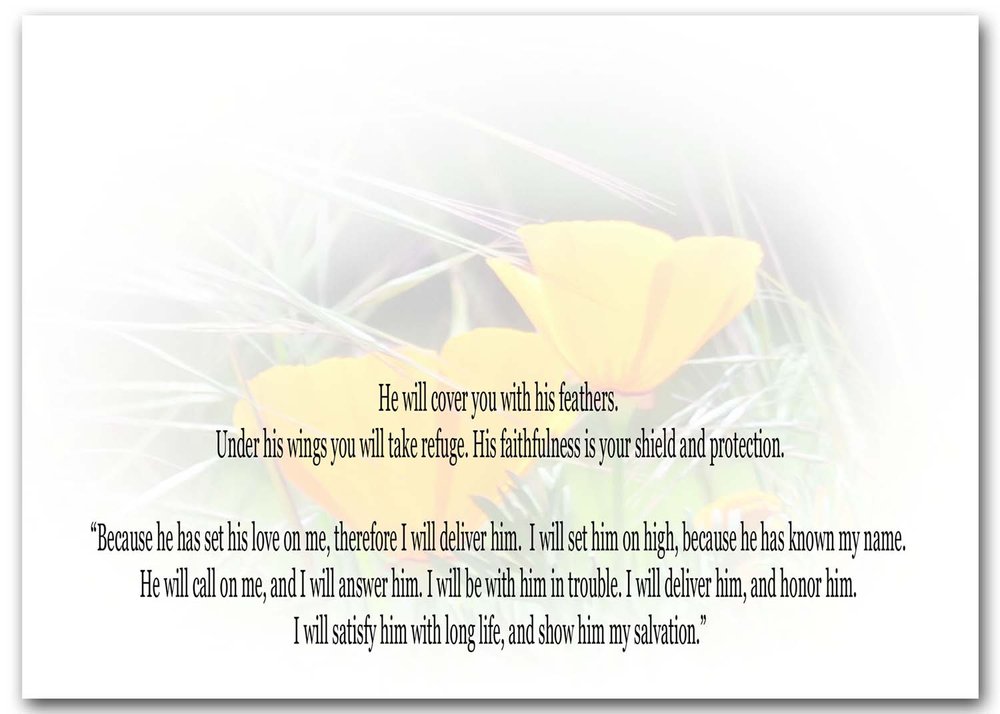 In the Box 'Psalm 91' — BCDesign