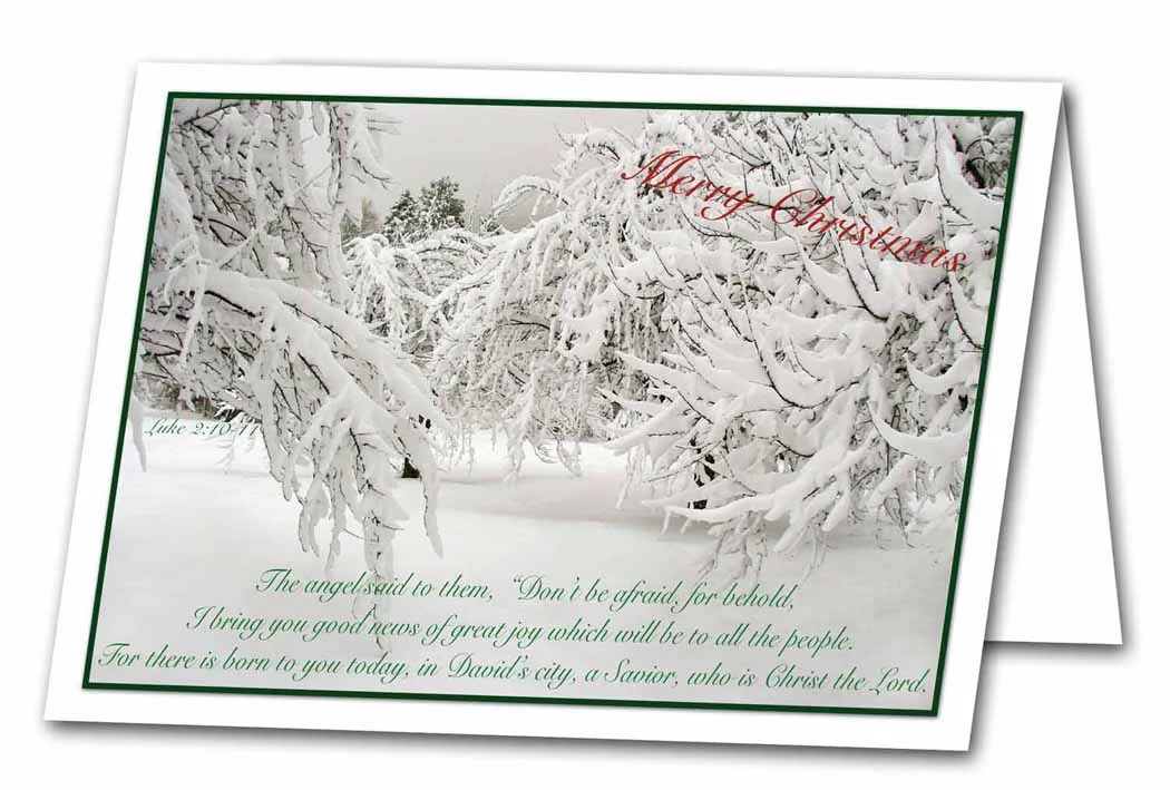 Branches copy gloss .jpg