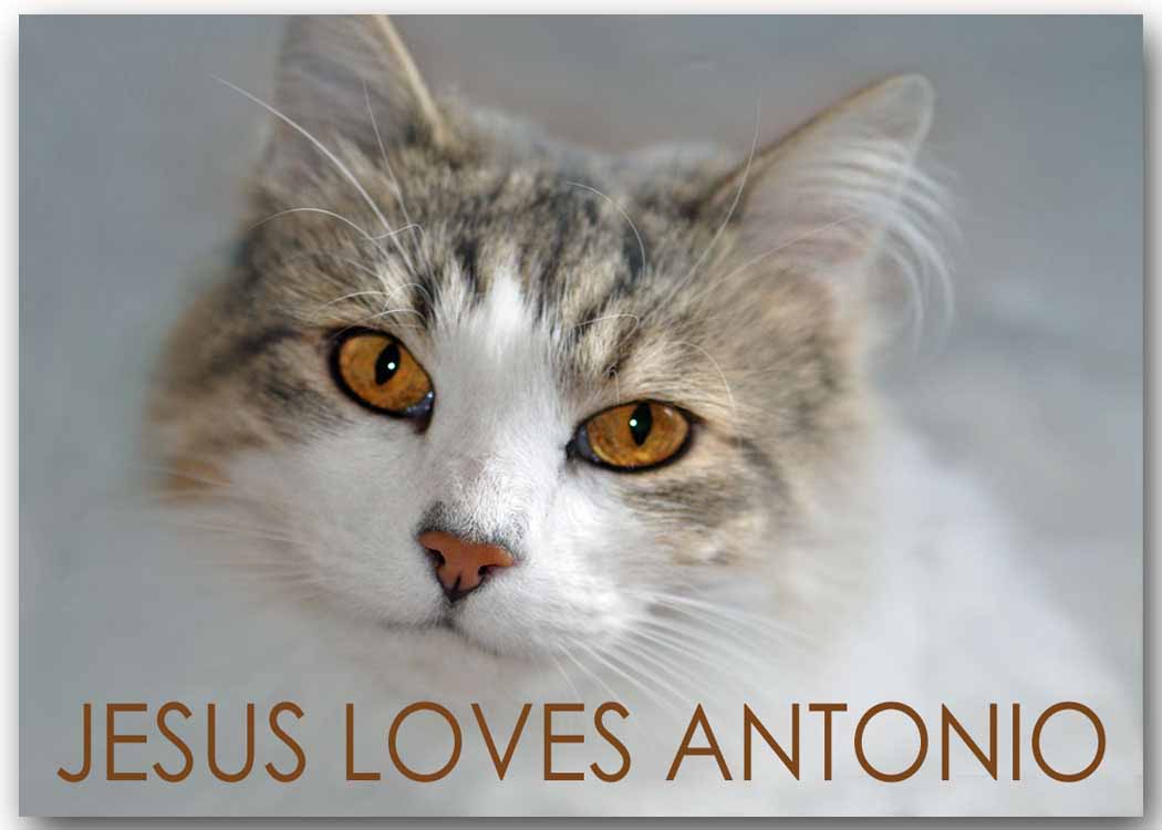 Jesus loves Antonio SH.jpg