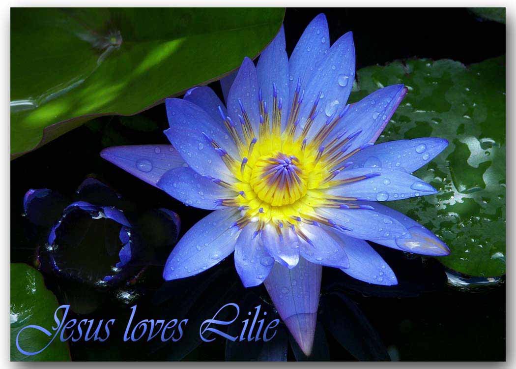 Jesus loves Lilie SH.jpg