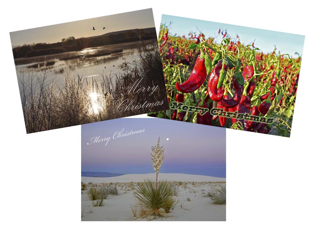A Box of 8 Greeting Cards 'Mixed NM Christmas'