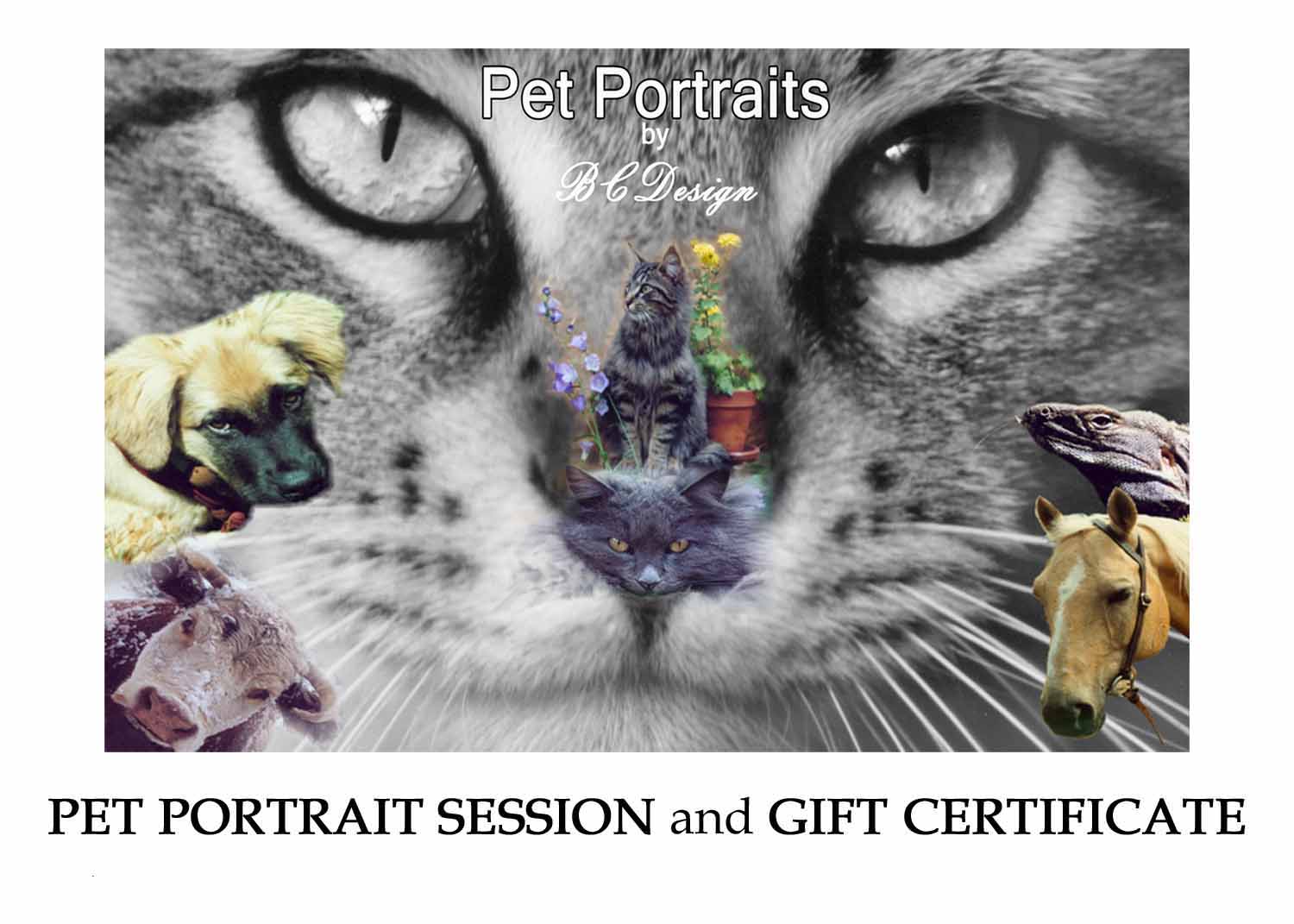Pet portraits 1.jpg