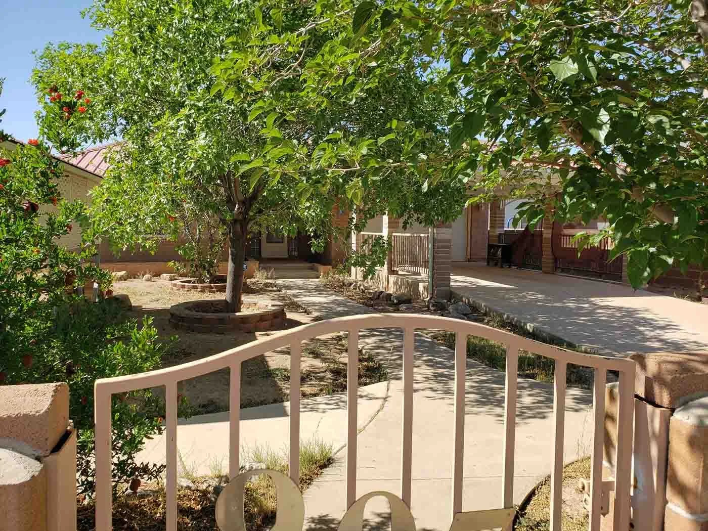 20240507_094818r web.jpg