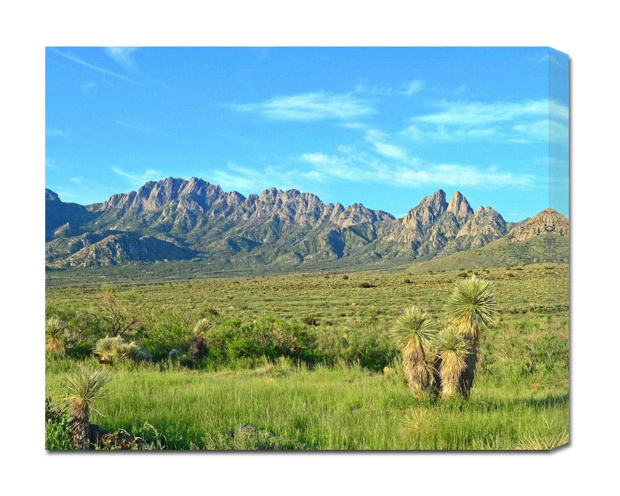 Aguirre Springs.jpg