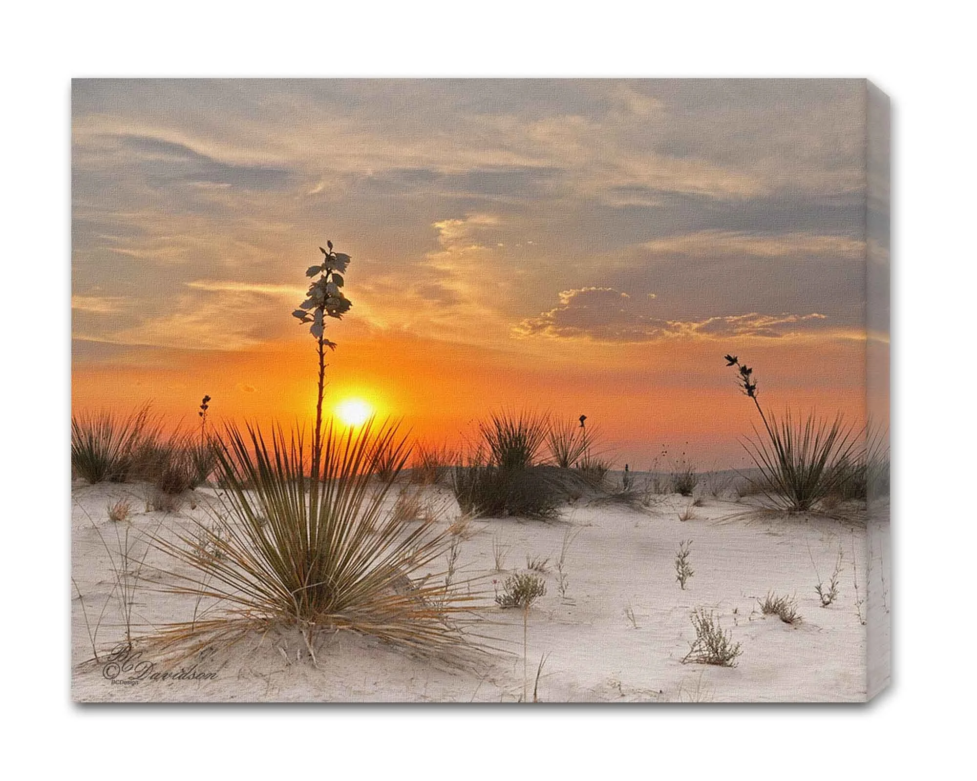 White Sands Sunset.jpg