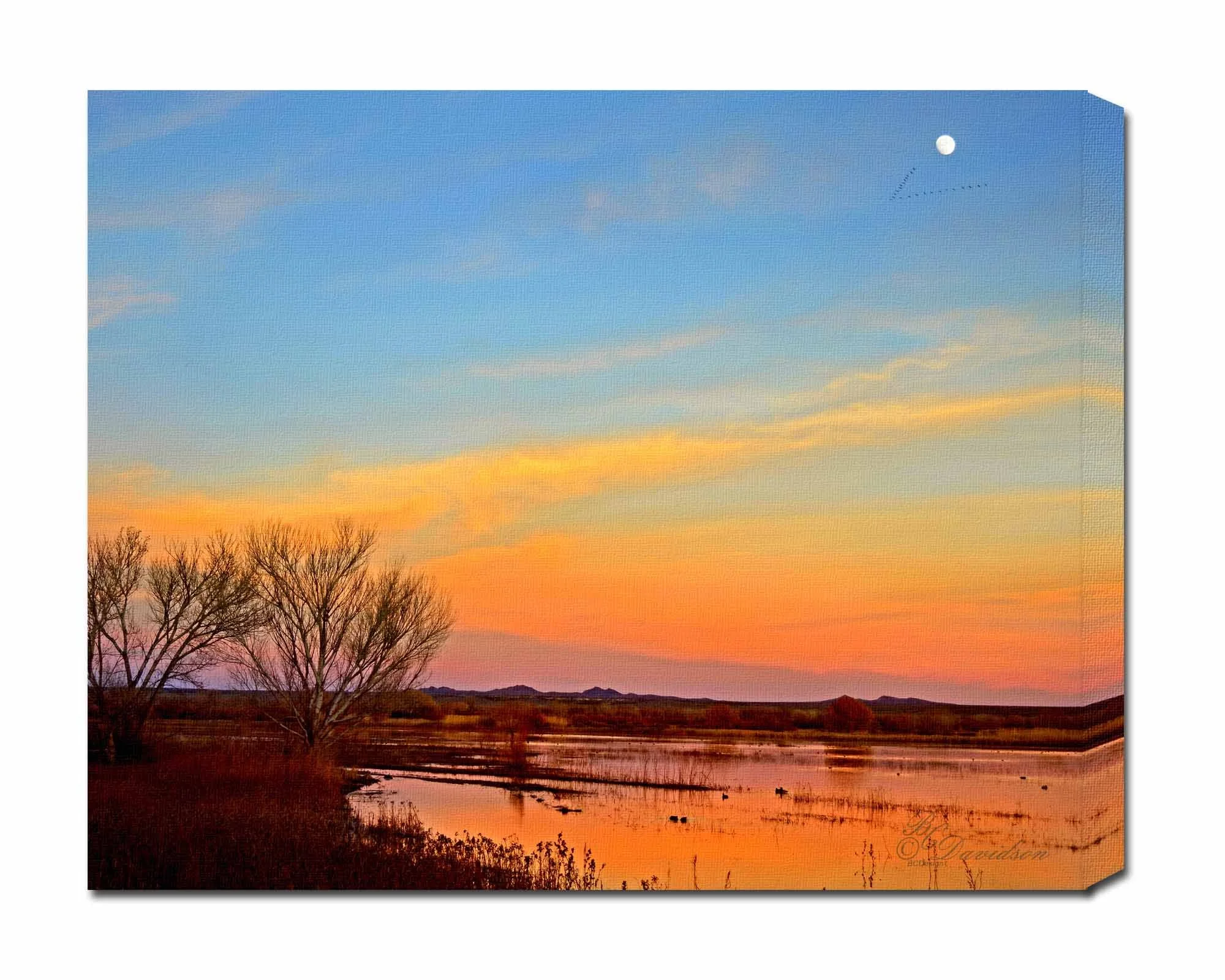 November Sunset.jpg