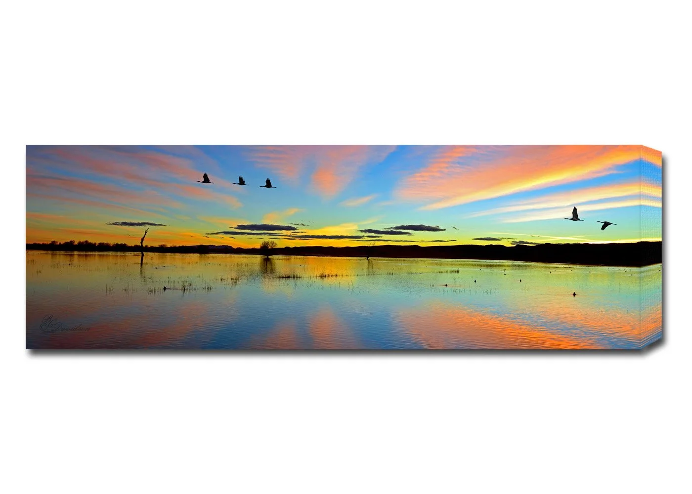 Bosque Sunset.jpg